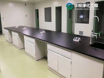 1737513874114016.jpg 31.jpg