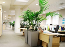 空間綠色裝飾.jpg 空間綠色裝飾.jpg